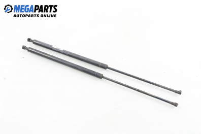 Амортисьор за багажник/товарно пространство за Renault Kangoo Express I (08.1997 - 02.2008)