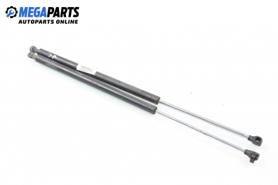 Амортисьор за багажник/товарно пространство за Renault Laguna I Hatchback (11.1993 - 08.2002)