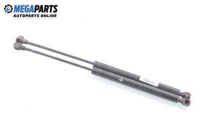 Амортисьор за багажник/товарно пространство за Audi A3 Hatchback I (09.1996 - 05.2003)