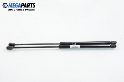 Амортисьор за багажник/товарно пространство за Fiat Brava Hatchback (10.1995 - 06.2003)