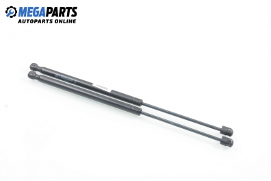 Амортисьор за багажник/товарно пространство за Fiat Brava Hatchback (10.1995 - 06.2003)