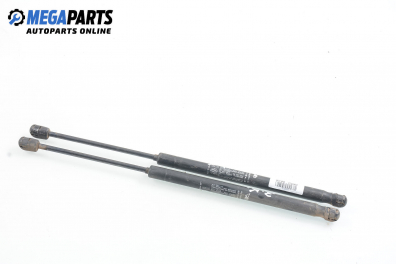 Амортисьор за багажник/товарно пространство за Fiat Punto Hatchback II (09.1999 - 07.2012)