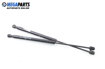 Амортисьор за багажник/товарно пространство за Fiat Punto Hatchback (09.1993 - 09.1999)