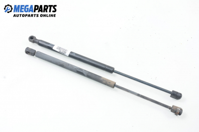 Амортисьор за багажник/товарно пространство за Renault Megane I Hatchback (08.1995 - 12.2004)