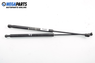 Амортисьор за багажник/товарно пространство за Fiat Punto Hatchback II (09.1999 - 07.2012)