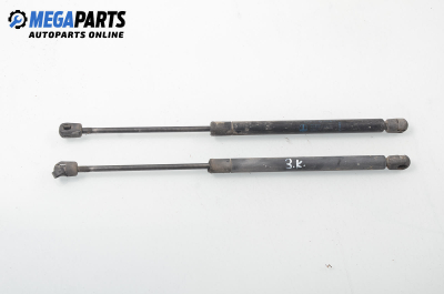 Амортисьор за багажник/товарно пространство за Renault Megane I Hatchback (08.1995 - 12.2004)