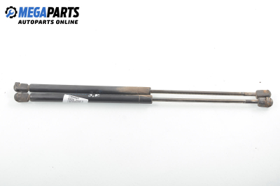 Амортисьор за багажник/товарно пространство за Renault 19 II Hatchback (01.1991 - 06.2001)