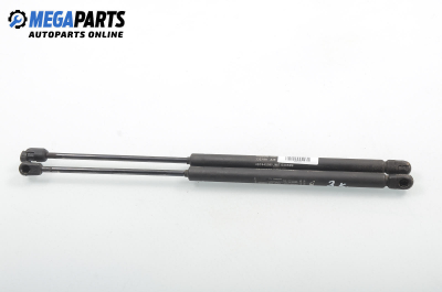 Амортисьор за багажник/товарно пространство за Fiat Punto Hatchback II (09.1999 - 07.2012)