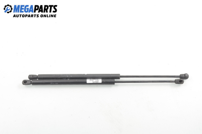 Амортисьор за багажник/товарно пространство за Fiat Brava Hatchback (10.1995 - 06.2003)