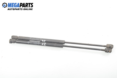 Амортисьор за багажник/товарно пространство за Fiat Punto Hatchback (09.1993 - 09.1999)