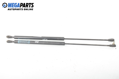 Амортисьор за багажник/товарно пространство за Citroen ZX Hatchback (03.1991 - 07.1999)