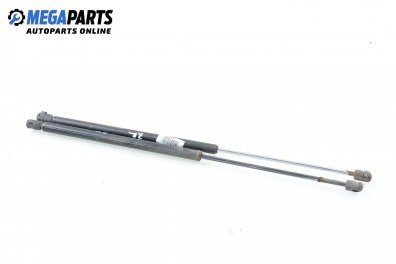 Амортисьор за багажник/товарно пространство за Renault Laguna I Hatchback (11.1993 - 08.2002)