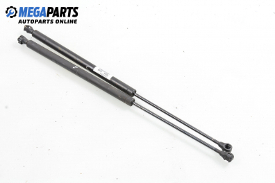 Амортисьор за багажник/товарно пространство за Peugeot 106 I Hatchback (08.1991 - 04.1996)