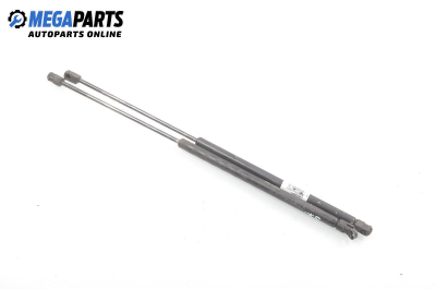 Амортисьор за багажник/товарно пространство за Renault Megane Scenic (10.1996 - 12.2001)