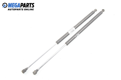 Амортисьор за багажник/товарно пространство за Renault Laguna I Hatchback (11.1993 - 08.2002)