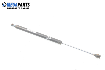 Амортисьор за багажник/товарно пространство за Renault Laguna I Grandtour (09.1995 - 03.2001)