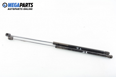 Амортисьор за багажник/товарно пространство за Renault Megane Scenic (10.1996 - 12.2001)