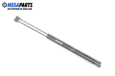 Амортисьор за багажник/товарно пространство за Renault Megane Scenic (10.1996 - 12.2001)