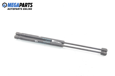 Амортисьор за багажник/товарно пространство за Fiat Stilo Hatchback (10.2001 - 11.2010), № 46784994