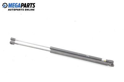 Амортисьор за багажник/товарно пространство за Renault Megane Scenic (10.1996 - 12.2001)