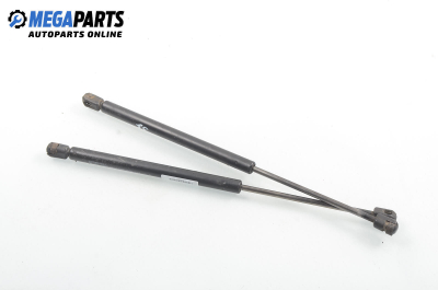 Амортисьор за багажник/товарно пространство за Renault Megane I Hatchback (08.1995 - 12.2004)