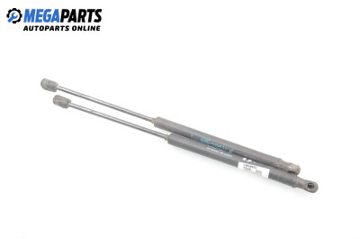 Амортисьор за багажник/товарно пространство за Fiat Stilo Hatchback (10.2001 - 11.2010)