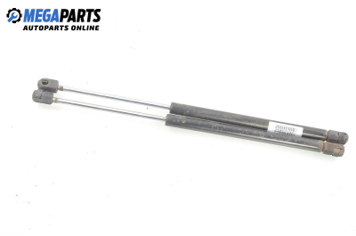 Амортисьор за багажник/товарно пространство за Renault Megane I Hatchback (08.1995 - 12.2004)