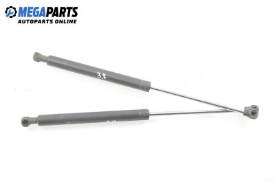 Амортисьор за багажник/товарно пространство за Renault Clio II Hatchback (09.1998 - 09.2005)