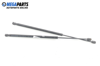 Амортисьор за багажник/товарно пространство за Renault Megane Scenic (10.1996 - 12.2001)