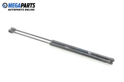 Амортисьор за багажник/товарно пространство за Renault Scenic I Minivan (09.1999 - 07.2010)