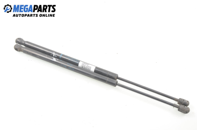 Амортисьор за багажник/товарно пространство за Renault Scenic II Minivan (06.2003 - 07.2010)