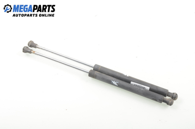 Амортисьор за багажник/товарно пространство за Renault Clio II Hatchback (09.1998 - 09.2005)