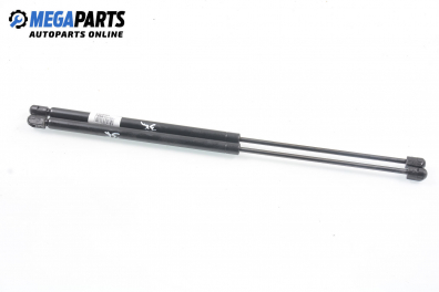 Амортисьор за багажник/товарно пространство за Renault Megane Scenic (10.1996 - 12.2001)
