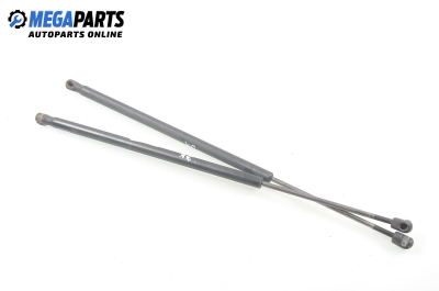 Амортисьор за багажник/товарно пространство за Ford Fiesta V Hatchback (11.2001 - 03.2010)