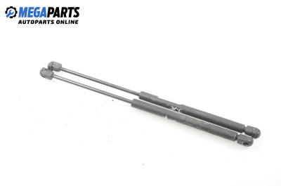 Амортисьор за багажник/товарно пространство за Fiat Punto Hatchback (09.1993 - 09.1999)