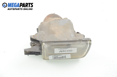 Халоген за Volkswagen Golf III Hatchback (08.1991 - 07.1998), позиция: дясна