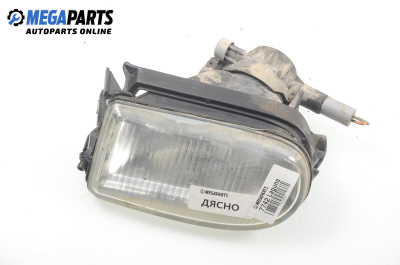 Халоген за Renault Laguna I Grandtour (09.1995 - 03.2001), комби, позиция: дясна