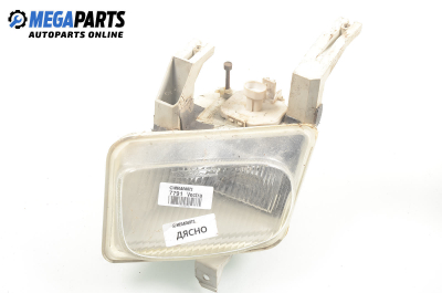 Халоген за Opel Vectra B Estate (11.1996 - 07.2003), комби, позиция: дясна