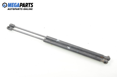 Амортисьор за багажник/товарно пространство за Renault Scenic II Minivan (06.2003 - 07.2010)