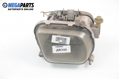 Халоген за Mercedes-Benz E-Class Estate (S210) (06.1996 - 03.2003), комби, позиция: дясна