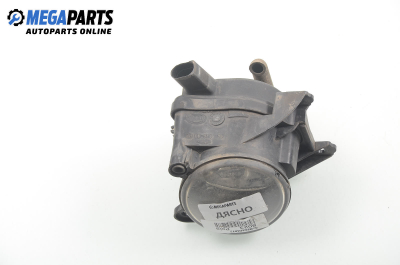 Халоген за Volkswagen Polo Hatchback III (10.1999 - 10.2001), позиция: дясна