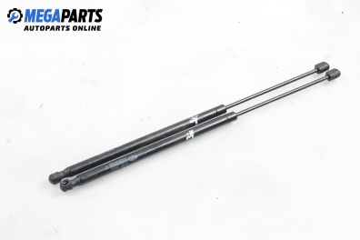 Амортисьор за багажник/товарно пространство за Renault Megane Scenic (10.1996 - 12.2001)