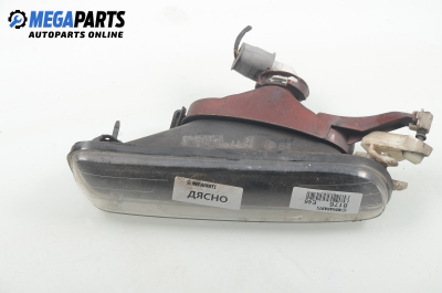 Халоген за BMW 3 Series E46 Sedan (02.1998 - 04.2005), седан, позиция: дясна