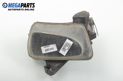 Халоген за Fiat Palio Weekend (04.1996 - 04.2012), комби, позиция: дясна