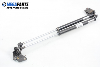 Амортисьор за багажник/товарно пространство за Suzuki Alto Hatchback IV (11.1993 - 09.1998)