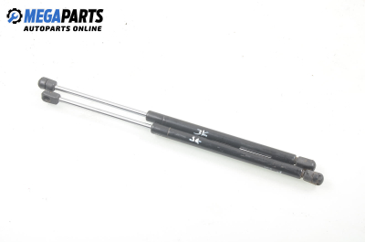 Амортисьор за багажник/товарно пространство за Renault Megane I Hatchback (08.1995 - 12.2004)