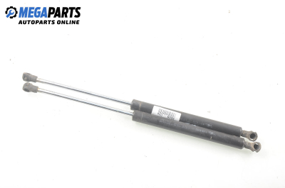 Амортисьор за багажник/товарно пространство за Renault Clio II Hatchback (09.1998 - 09.2005)