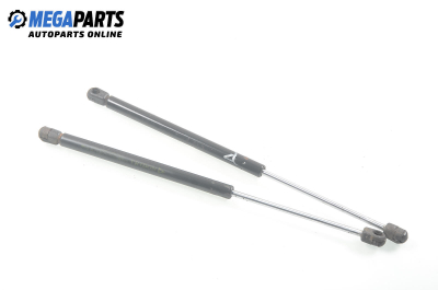 Амортисьор за багажник/товарно пространство за Renault Megane I Hatchback (08.1995 - 12.2004)