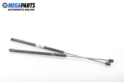 Амортисьор за багажник/товарно пространство за Renault Megane Scenic (10.1996 - 12.2001)