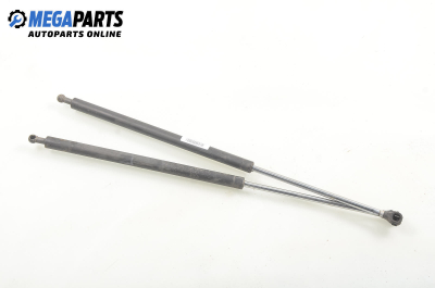 Амортисьор за багажник/товарно пространство за Renault Laguna I Hatchback (11.1993 - 08.2002)